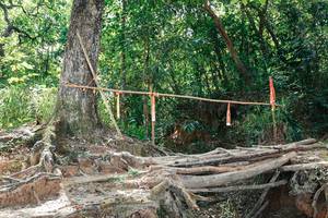 BIB: 
                            <button type="button" onclick="openModal(27801605)" class="btn btn-primary btn-sm float-right btn-popup" data-toggle="modal" data-target=".modal-high-quality">
                        <i class="fas fa-shopping-cart"></i> Add to Cart
                    </button>
                                            <button type="button" onclick="isThisMe(27801605, true)" class="btn btn-success btn-sm float-right btn-popup btn-isme hidden" data-toggle="tooltip" data-placement="bottom" title="นี่คือรูปของคุณใช่ไหม คลิกที่นี่เพื่อเอาเข้าอัลบั้ม">
                        <i class="fas fa-plus"></i> Add to album
                    </button>
                    <button type="button" onclick="isThisMe(27801605, false)" class="btn btn-warning btn-sm float-right btn-popup btn-isnotme hidden">
                        <i class="fas fa-ban"></i> Remove from album
                    </button>